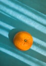 Ripe orange fruit on sunlit blue background with shadows. Minimal style summer concept. Top view