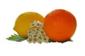 Ripe orange orange with lemon flowers isolated Royalty Free Stock Photo