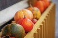 Ripe orange organic pumpkin in a row close-up, selectiv focus. Thanksgiving Day concept. Autumn, fall background