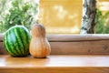 Ripe orange pumpkin and green striped watermelon on wooden table outdoors. Agriculural harvest season. Unusual halloween rustic ba