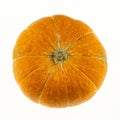 Ripe orange pumpkin whole vegetable lies on a white background