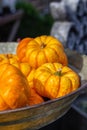 Ripe orange pumpkins in a bowl. Harvest festival, squash close-up