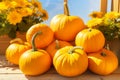 Ripe orange pumpkins resting on wooden table in idyllic sunny weather