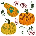 Ripe orange pumpkins. Vector grainy set Royalty Free Stock Photo