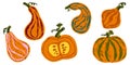 Ripe orange pumpkins. Vector grainy set of texture elements Royalty Free Stock Photo