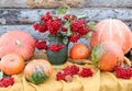 Ripe orange pumpkins with viburnum branches in a jug on a table on a wooden background, autumn still life