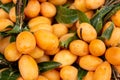 Ripe Orange Sweet Maprang