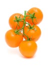 ripe orange tomatoes in drops of water isolated on a white background Royalty Free Stock Photo