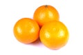 Ripe oranges