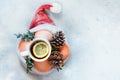 Ripe oranges in the hat of Santa Claus with boxwood plant on a blue background. Festive mood, Christmas and New Year. Royalty Free Stock Photo