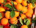 ripe oranges with green leaves for sale in fruit crates Royalty Free Stock Photo