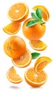 Ripe oranges with halves and slices with orange tree leaves randomly fall or levitate on a white background