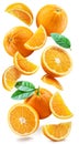 Ripe oranges with halves and slices with orange tree leaves randomly fall or levitate on a white background Royalty Free Stock Photo