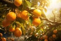 Ripe oranges hanging from a small orange tree. Tangerines on a tree in a garden. Generative AI Royalty Free Stock Photo