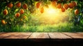 Ripe oranges hanging in sunlit orchard with wooden table in foreground Royalty Free Stock Photo