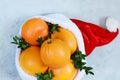 Ripe oranges in the hat of Santa Claus with boxwood plant on a blue background. Festive mood Royalty Free Stock Photo