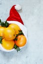 Ripe oranges in the hat of Santa Claus with boxwood plant on a blue background. Festive mood Royalty Free Stock Photo