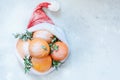 Ripe oranges in the hat of Santa Claus with boxwood plant on a blue background. Festive mood, Christmas and New Year. Royalty Free Stock Photo