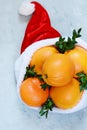 Ripe oranges in the hat of Santa Claus with boxwood plant on a blue background. Festive mood Royalty Free Stock Photo