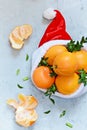 Ripe oranges in the hat of Santa Claus with boxwood plant on a blue background. Festive mood Royalty Free Stock Photo