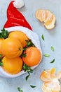 Ripe oranges in the hat of Santa Claus with boxwood plant on a blue background. Festive mood Royalty Free Stock Photo