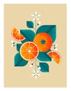 Ripe oranges with leaves and flowers. Illustration with grain and noise texture.