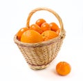 Ripe oranges and mandarines in basket Royalty Free Stock Photo