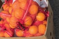 Oranges at the Farmers Market Royalty Free Stock Photo