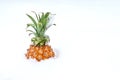 Ripe organic baby pineapple in snow. Bright sweet tropical fruit in winter outdoors.Spring coming concept. Travelling to warm