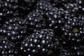 Ripe organic blackberries close up Royalty Free Stock Photo