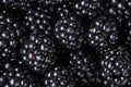 Ripe organic blackberries close up Royalty Free Stock Photo