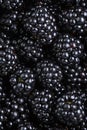 Ripe organic blackberries close up Royalty Free Stock Photo