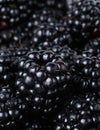 Ripe organic blackberries close up Royalty Free Stock Photo