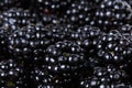 Ripe organic blackberries close up Royalty Free Stock Photo