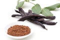 Ripe organic carob fruit pods with green leaves from locust tree and carob powder on white background. Healthy alternative to