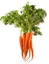 Ripe Organic Carrots