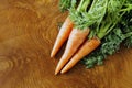 Ripe organic carrots with green leaves Royalty Free Stock Photo