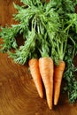 Ripe organic carrots with green leaves Royalty Free Stock Photo