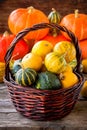 Ripe organic colored pumpkins in the basket