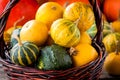 Ripe organic colored pumpkins in the basket