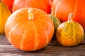 Ripe organic colored pumpkins