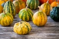 Ripe organic colored pumpkins