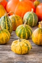 Ripe organic colored pumpkins