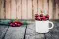 Ripe Organic Freshly Picked Sweet Cherries in Vintage Enamel Mug on Green Foliage Garden Nature Background. Summer Harvest Vitamin Royalty Free Stock Photo