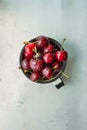 Ripe Organic Freshly Picked Sweet Cherries in Vintage Enamel Mug on Grey Metal Stone Concrete Background by Window. Garden Table Royalty Free Stock Photo