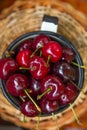 Ripe Organic Freshly Picked Sweet Cherries in Vintage Enamel Mug on Wicker Basket. Garden Table. Top View. Summer Harvest Vitamins Royalty Free Stock Photo