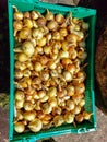 Ripe, organic grown golden onions harvested in summer. Close-up of organically grown onions in a plastic box Royalty Free Stock Photo