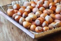 Ripe organic hazelnuts Royalty Free Stock Photo