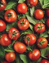 Ripe organic homegrown tomato vegetable pattern, generative ai