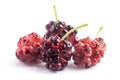 Ripe organic Mulberry fruits Royalty Free Stock Photo